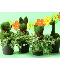 animal topiary plants to japan