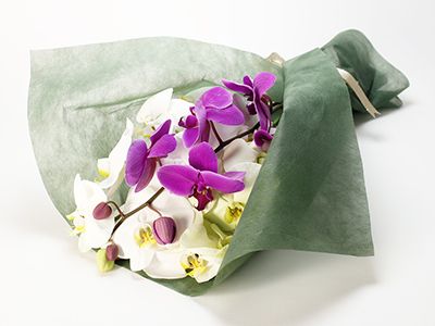 orchid bouquet to japan
